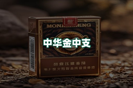 中华金中支